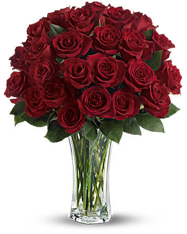 Love and Devotion - Long Stemmed Red Roses (Standard)