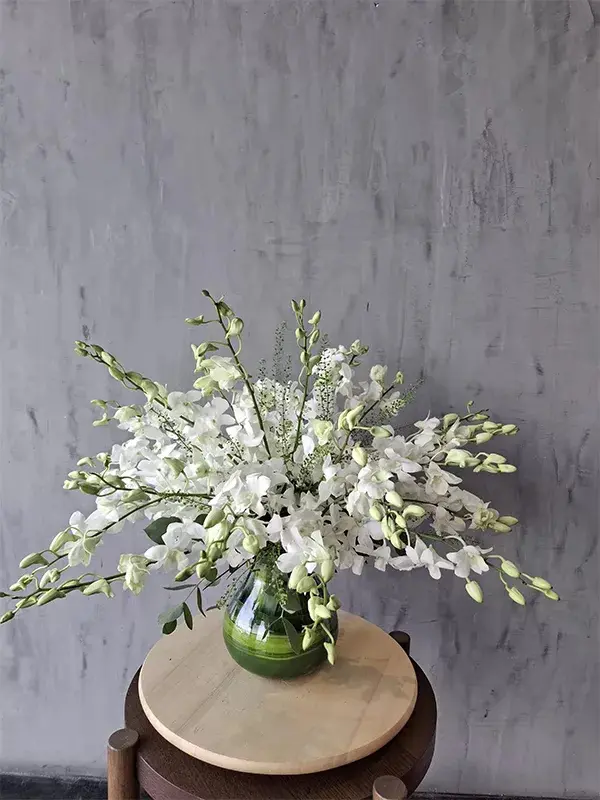 White Orchid Elegance