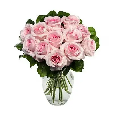 12 Pink Rose Romance