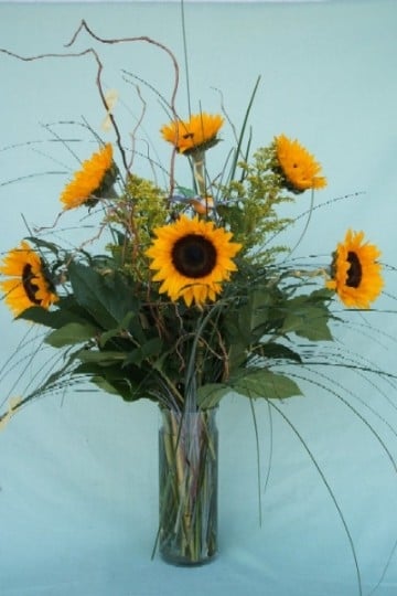 V06 Sunflowers