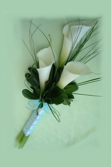 WB08 White Callas