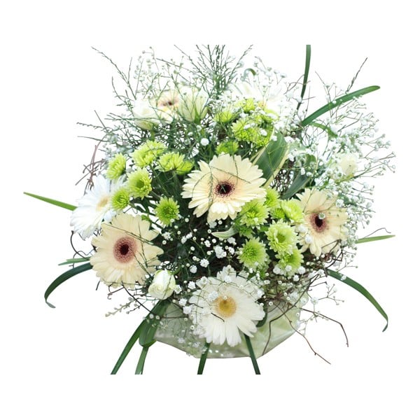 Spring freshness (Medium)