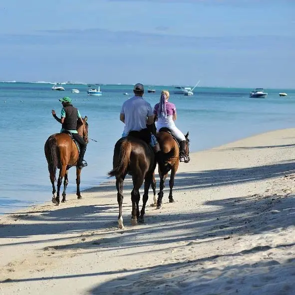 Gift Box Horse Ride