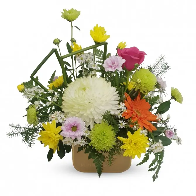 Brumelle- Coffret Floral