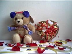 Bear With Chocolate