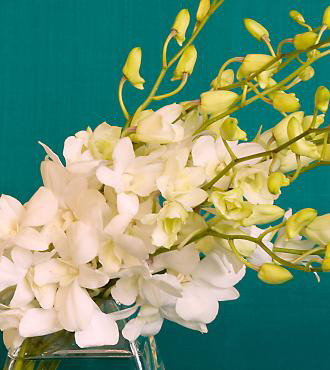 White Orchids In Bouquet