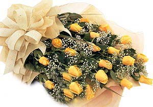 Yellow 2 Dz
