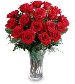 18 Pcs Roses In A Vase