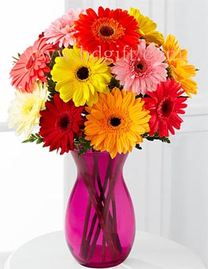 Multicolor Gerbera In Vase