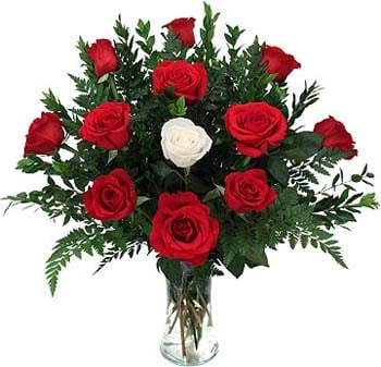 Red Rose With One White Rose In Vase
