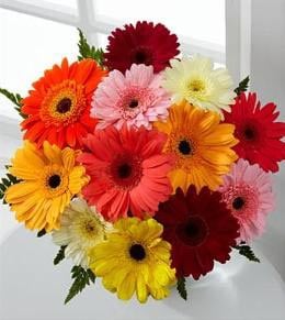 Mixed Gerbera In Bouquet