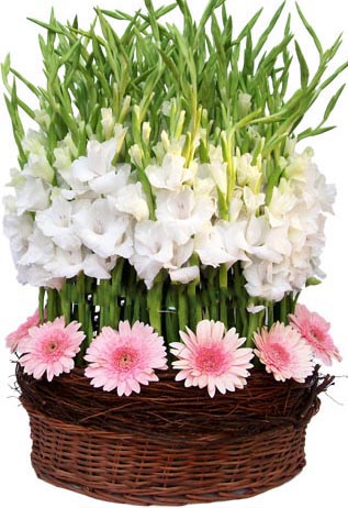 Pink And White Flower In Basket