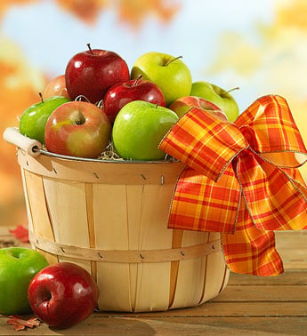 Fruit Basket -24
