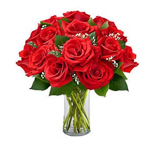 2 Dozen Red Roses In Bouquet