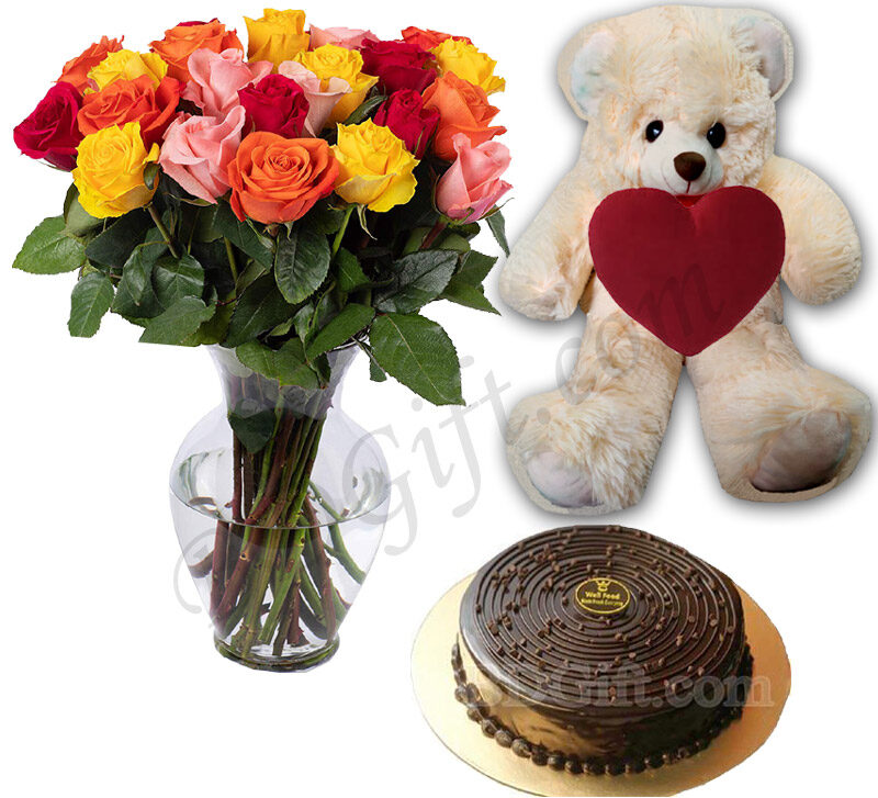 Multi-color Roses W/ Cake & Teddy bear