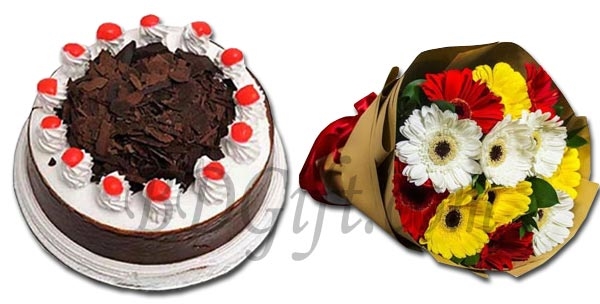 Yummy Yummy Black Forest Cake W/Mixed Gerbera in Bouquet