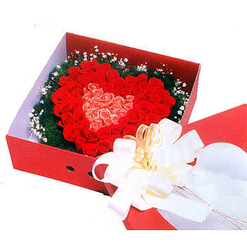 (02)Heart Shaped Roses W/ 50 Roses