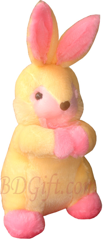 (02) Rabbit