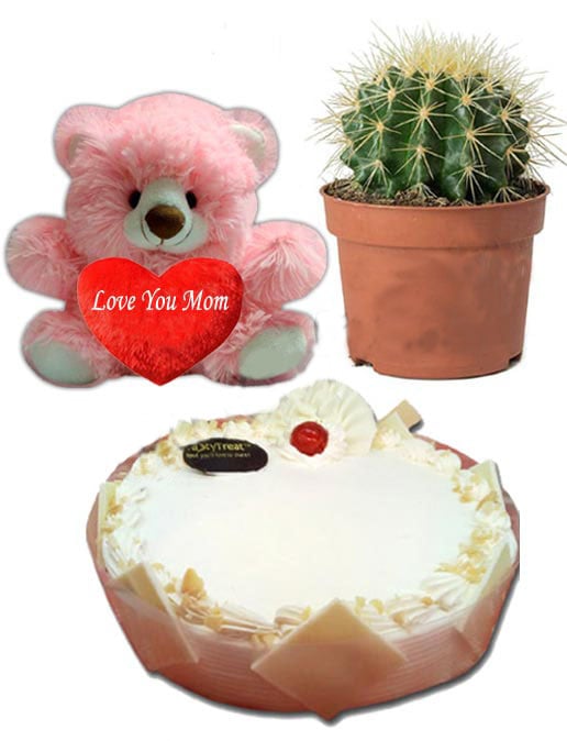 (0001) Cake W/ Live Cactus &amp; Bear