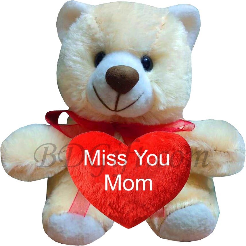 (04) Miss You Mom Teddy Bear