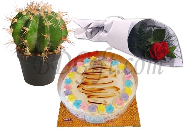 (000011) Cake with cactus and red rose