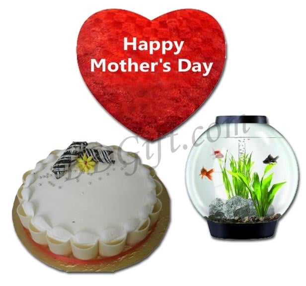 Cake W/ Aquarium & Pillow
