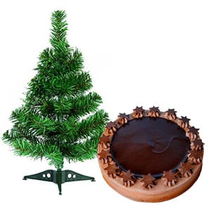 Christmas tree W/ Surprising Chocolate Box & Teddy bear