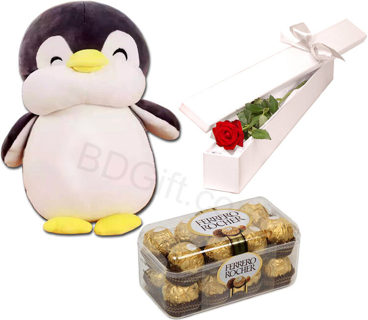 Penguin Doll W/ Chocolates & Red Rose