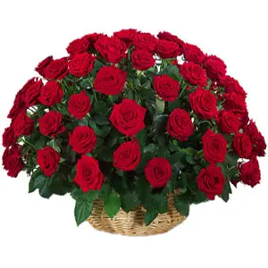 4 dozen red roses in a basket to