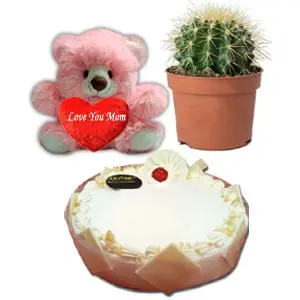 Cake W/ Live Cactus & Bear