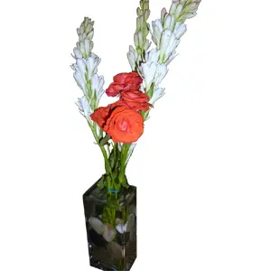 Rajanigandha and rose in a vase