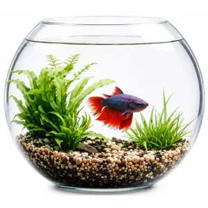 Mini Glass Bowl Aquarium – Complete Set