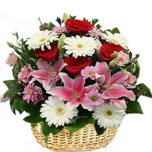 (29) Mixed flowers in a basket