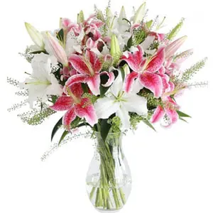 (03) Pink & White Lilies in a vase