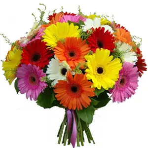 Mixed Gerbera in Bouquet