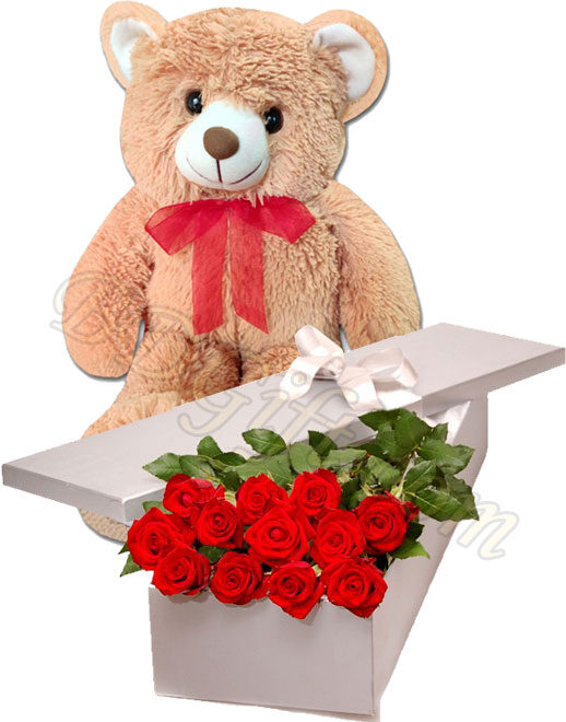 1 dz red roses w/ bear