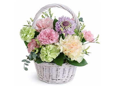 Pastel sherry (Arrangement)