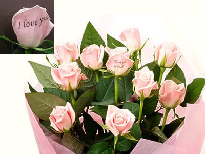 Rose Mail