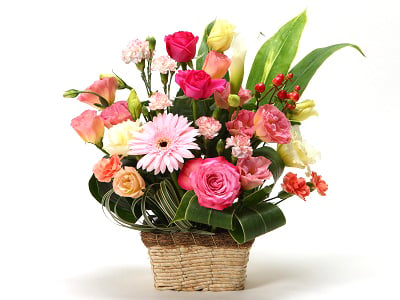seasonal style (Small)