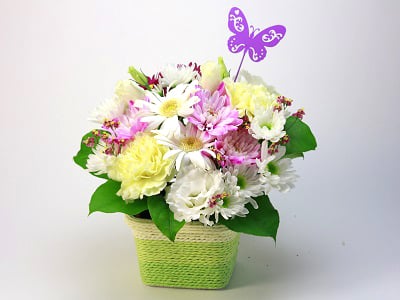 Flower garden