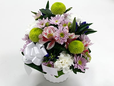 Offering Arrangement (Small)