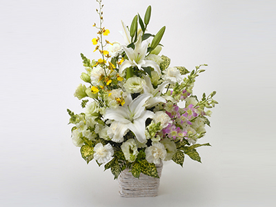 Offering Arrangement.. Seifu