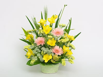 Sandy(Arrangement)