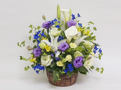 Offering Arrangement“Memory Leo”
