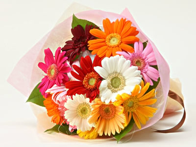 Garbera Bouquet