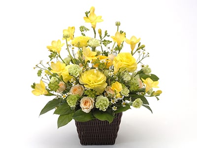 Yellow Aquamarine(Arrangement)