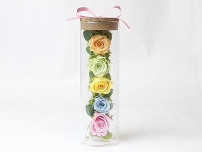 Glass Rose(Preserved Flower)