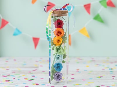 Rainbow Smile(Preserved Flower)