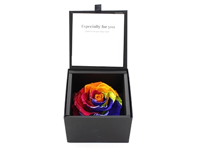 Diamond Rose Rainbow(Preserved Flower)