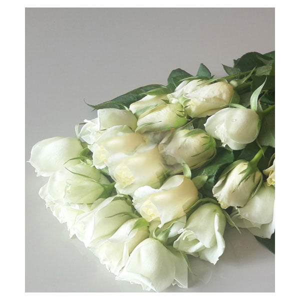 White like me
